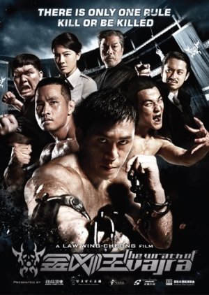 The Wrath of Vajra (2013) poster