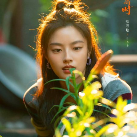 Our Dazzling Days (2026)