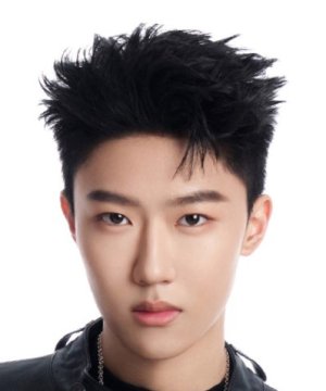 Zong Lun Shi