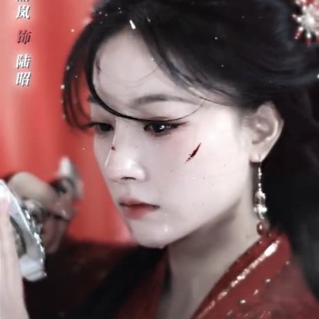 Jin Zhao Yu Zui ()