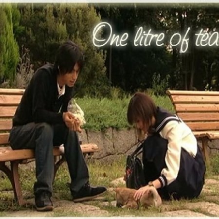 Kamisama no Boto  (2013)