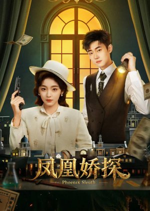 Phoenix Sleuth poster