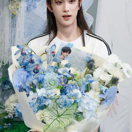 Bai Yao Pu ()