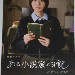 The Diary of a Novelist Japanese Drama(2026) photo