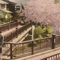 Let Me Eat Your Pancreas Japanese Movie photo