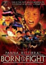 Born to Fight Thai Movie(1986) photo