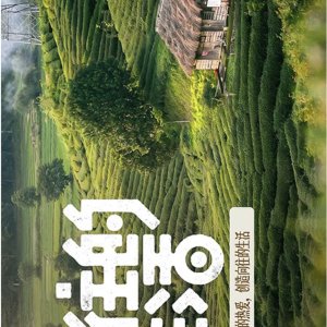 Back to Field 2007 (2027)