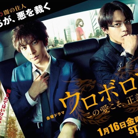 Kamisama no Boto  (2013)