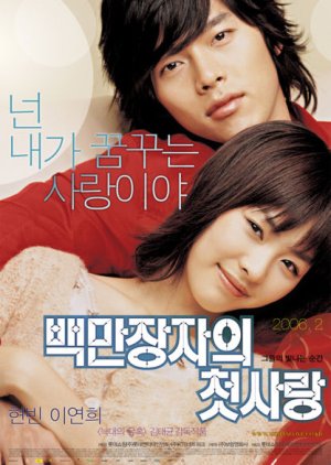 A Millionaire's First Love (2006) poster