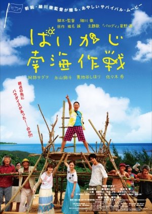 Paikaji Nankai Sakusen (2012) poster