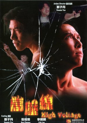 Asian Cop: High Voltage (1995) poster