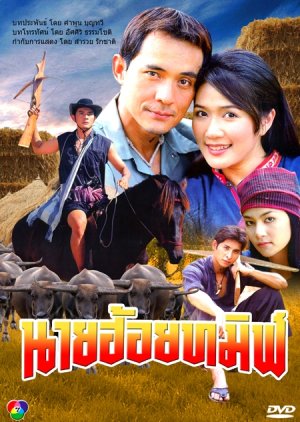 Nai Hoi Tamin (2001) poster