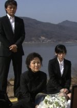 Drama City: Money Flower Korean Drama photo