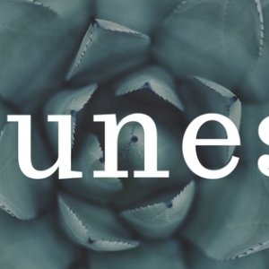 Kamisama no Boto  (2013)