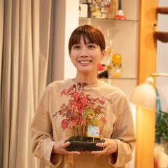 Lunch Break Lovers Japanese Drama(2026) photo