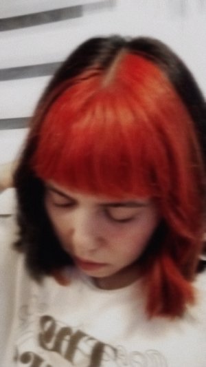 shywh