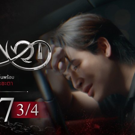 Knot (2026)