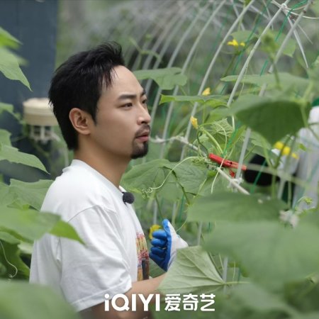 Song Mu Zi