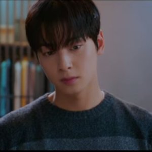 Cha Eun Woo: Drama, Character quiz