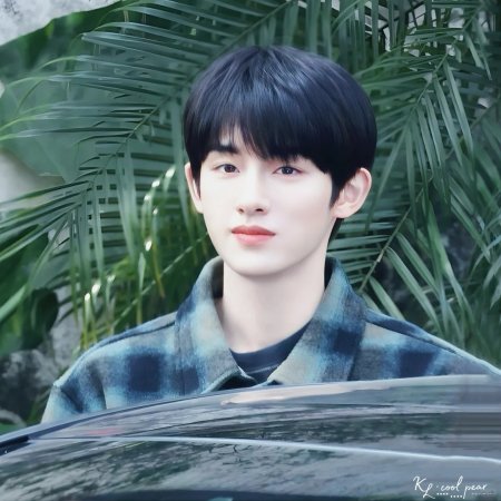 Sunshine through the Rain ()