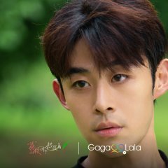 Secrets Happened on the Litchi Island (Movie Version) Singaporean Movie(2025) photo