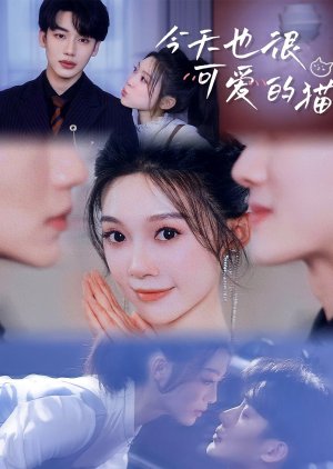 Jin Tian Ye Hen Ke Ai De Mao poster