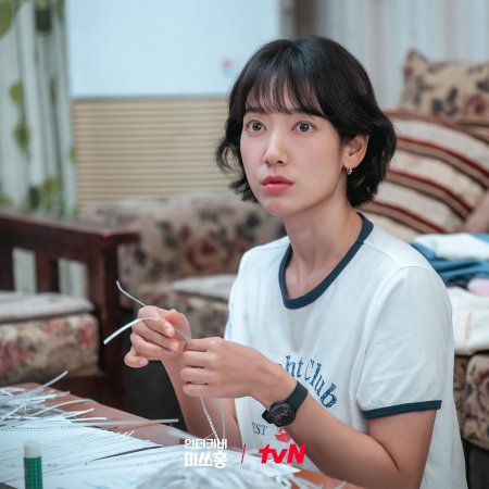 Undercover Miss Hong (2026)