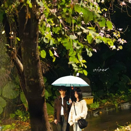 Sunshine through the Rain ()