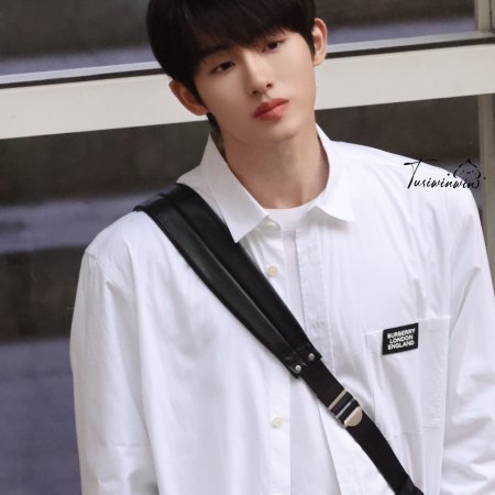 Sunshine through the Rain ()