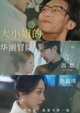 The Gorgeous Adventure of the Princess poster