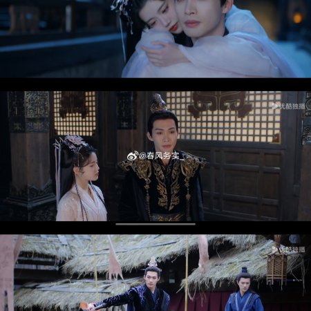 The Blossoming Love (2025)