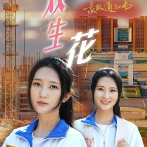 Shuang Sheng Hua (2024)