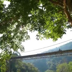 Navigator Thai TV Program photo