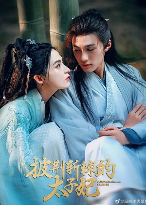 Pi Jing Zhan Ji De Tai Zi Fei (2025) poster