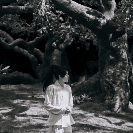 Guardians of the Dafeng (2024)