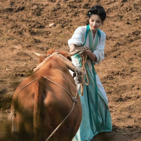 Where the Mask Ends ()