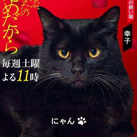 Zenbu, Anata no Tame Dakara (2026)