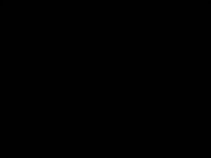 ali213r