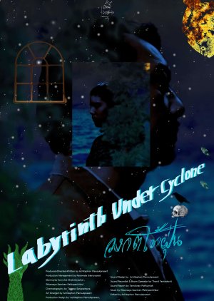 Labyrinth Under Cyclone (2025) poster