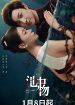 Beauty Chamber of Secrets Chinese Drama photo