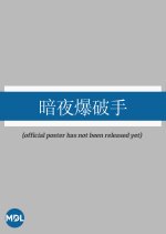 An Ye Bao Po Shou Chinese Movie photo