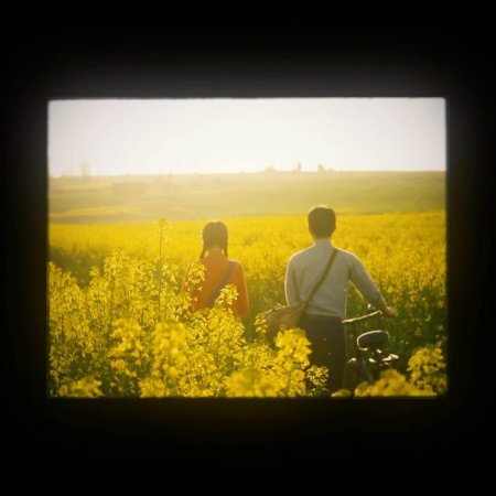 Love Story in the 1970s (2026)