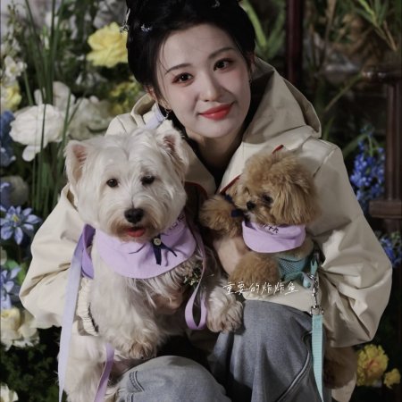 A Ming Dynasty Adventure ()