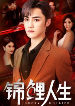 Lucky Koi Life poster