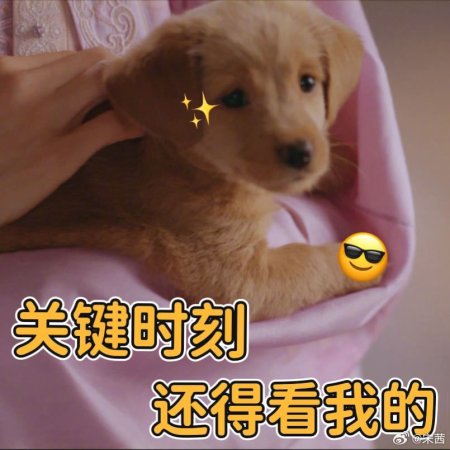 Fight for Love (2025)