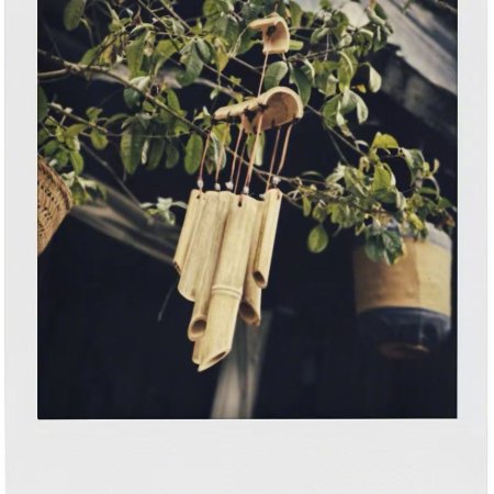 Fight for Love (2025)