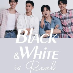 Black and White Is Real Taiwanese Drama(2025) photo