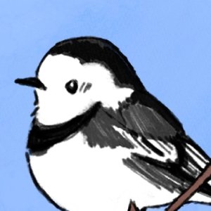 Mun Birdy