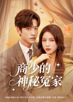 The President's Mysterious Nemesis Chinese Drama(2025) photo