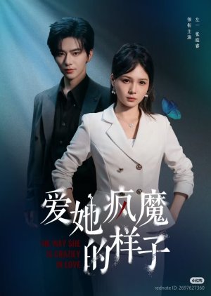 The Way She Is Crazily in Love (2025) poster